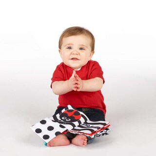 Foto 6 | Foto 6 | Libro De Actividades Sassy Peek-a-boo Con Enlace Adjunto Para Viajar - Venta Internacional.