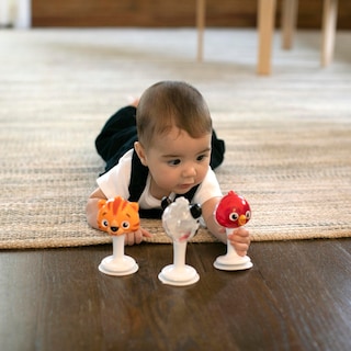 Foto 2 | Foto 2 | Set De Juguetes Con Ventosa Baby Einstein Rattle & Jingle Trio - Venta Internacional.