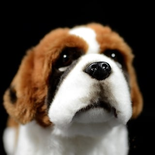 Foto 5 | Foto 5 | Juguete De Peluche Fabricado Por Zhongxin, Simulación De Perro San Bernardo, 30 Cm - Venta Internacional.