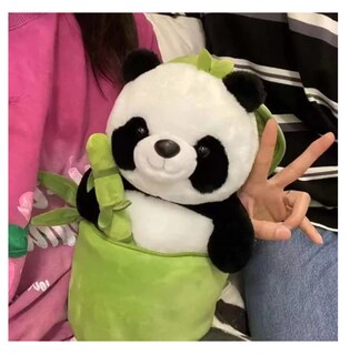Foto 2 | Foto 2 | Simpático Muñeco Panda Y Almohada De Felpa De Bambú 35 Cm Verde Oso Polar