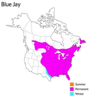 Foto 2 | Foto 2 | Peluche Wild Republic Audubon Birds Blue Jay Con Sonido-Venta Internacional