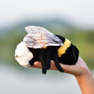 Foto 4 | Foto 4 | Muñeca De Peluche Tammyflyfly Soft Bee, 17 Cm - Venta Internacional.