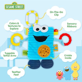 Foto 3 | Foto 3 | Juguete Sensorial De Peluche Preferido Para Niños, Sesame Street Cookie Monster - Venta Internacional.