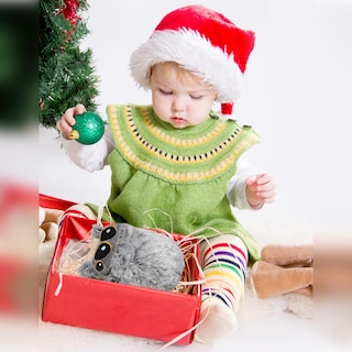 Foto 2 | Foto 2 | Peluche De Peluche Con Forma De Araña, Bonita Araña Con Mosca Para Niños - Venta Internacional.