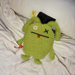 Foto 2 | Foto 2 | Peluche Gund Veggietales Uglydoll Little Ox Graduation 7.3 - Venta Internacional.