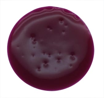 Foto 3 | Foto 3 | Pintura Acuarela Sax Liquid Magenta 240 Ml - Venta Internacional.