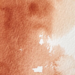 Foto 2 | Foto 2 | Pintura Acuarela Winsor & Newton Professional Burnt Sienna - Venta Internacional.