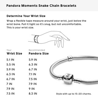 Foto 7 | Foto 7 | Pulsera Pandora Iconic Moments Snake Chain en Plata de Ley - Venta Internacional
