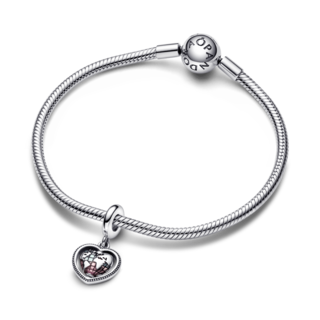 Foto 4 | Foto 4 | Charm Pandora Colgante De Familia Globo Terráqueo Esterlina 792240c01 Joyería De Lujo Para Mujer Ideal Para Regalo Elegante
