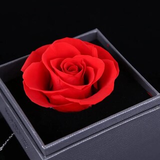 Foto 4 | Foto 4 | Alajero Con Rosa Eterna Incluye Collar Para Mujer