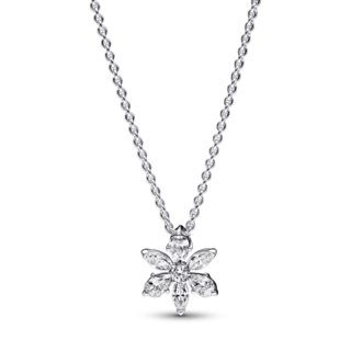Foto 1 | Foto 1 | Collar Pandora Con Pendiente Racimo Herbario Reluciente 392387c01 Joyería De Lujo Para Mujer Ideal Para Regalo Elegante