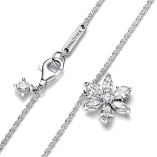 Foto 2 | Foto 2 | Collar Pandora Con Pendiente Racimo Herbario Reluciente 392387c01 Joyería De Lujo Para Mujer Ideal Para Regalo Elegante