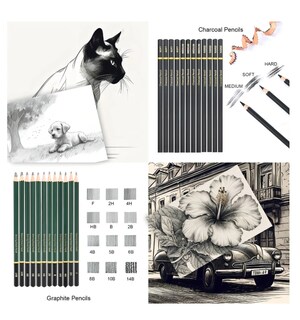 Foto 5 | Foto 5 | 96 Piezas Kit De Lápices Picool Sketcher De Dibujo Pintura Y Boceto Incluye Carboncillo Lápices De Colores Libro De Bocetos