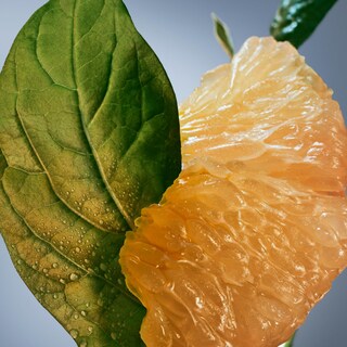 Foto 5 | Foto 5 | Perfume Hugo Boss Boss Bottled Infinite Eau De Parfum 100 Ml - Venta Internacional