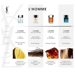 Foto 5 | Foto 5 | Perfume Yves Saint Laurent L'homme Le Parfum Edp 100 Ml Para Hombre - Venta Internacional.