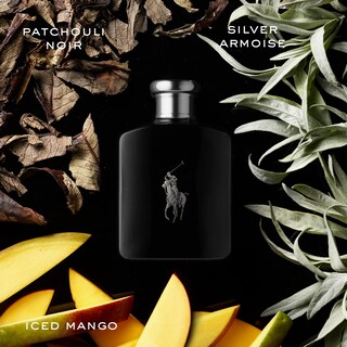 Foto 2 | Foto 2 | Perfume Ralph Lauren Polo Black Eau de Toilette 200 ml para Hombre - Venta Internacional