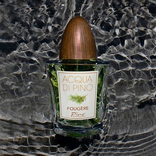 Foto 5 | Foto 5 | Perfume Pino Silvestre Acqua Di Pino Fougere Eau De Toilette 125 Ml - Venta Internacional