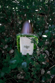 Foto 6 | Foto 6 | Perfume Pino Silvestre Acqua Di Pino Fougere Eau De Toilette 125 Ml - Venta Internacional