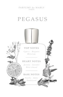 Foto 3 | Foto 3 | Perfume Parfums De Marly Pegasus Eau De Parfum 75 Ml Para Hombre - Venta Internacional.