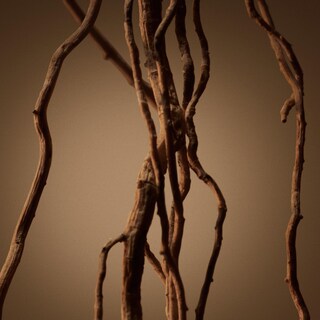 Foto 5 | Foto 5 | Perfume Hugo Boss Boss Eau De Parfum Embotellado 200 ml para Hombre - Venta Internacional