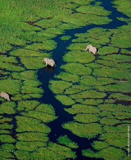 Foto 5 | Foto 5 | Perfume Guerlain Aqua Allegoria Orange Soleia Edt 125 Ml - Venta Internacional.