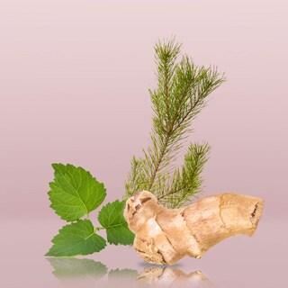 Foto 2 | Foto 2 | Desodorante Calvin Klein Euphoria Para Hombre 75 Ml - Venta Internacional.