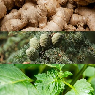 Foto 3 | Foto 3 | Desodorante Calvin Klein Euphoria Para Hombre 75 Ml - Venta Internacional.