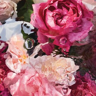 Foto 4 | Foto 4 | Perfume Guerlain Aqua Allegoria Rosa Rossa Eau De Toilette 75 Ml - Venta Internacional.