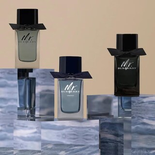 Foto 4 | Foto 4 | Perfume Burberry Mr Burberry Eau De Toilette 50 Ml Para Hombre - Venta Internacional.