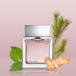 Foto 2 | Foto 2 | Perfume Calvin Klein Euphoria Para Hombre, Eau De Toilette, 50 Ml - Venta Internacional.