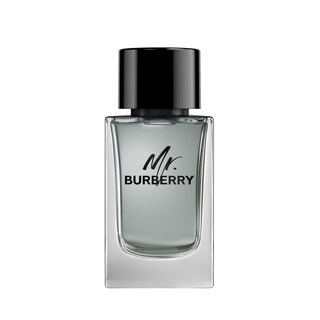 Foto 1 | Foto 1 | Perfume Burberry Mr. Burberry Eau De Toilette Para Hombre 100 Ml - Venta Internacional.