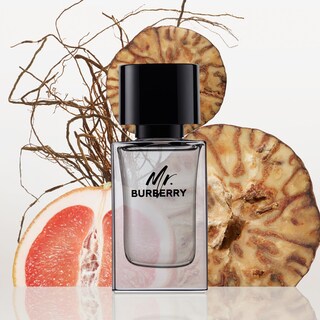 Foto 2 | Foto 2 | Perfume Burberry Mr. Burberry Eau De Toilette Para Hombre 100 Ml - Venta Internacional.