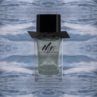 Foto 3 | Foto 3 | Perfume Burberry Mr. Burberry Eau De Toilette Para Hombre 100 Ml - Venta Internacional.