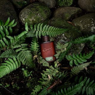 Foto 4 | Foto 4 | Cologne Dr. Squatch Rainforest Mist Para Hombre, 100 Ml - Venta Internacional.