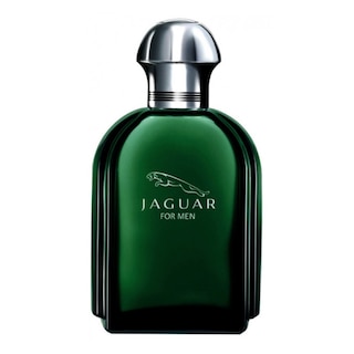 Foto 1 | Foto 1 | Perfume Jaguar For Men de 100 ml para Hombre