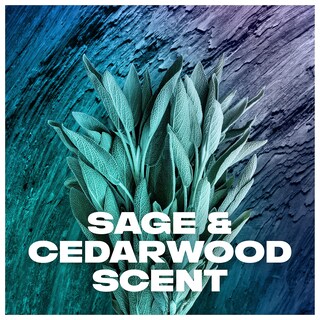 Foto 6 | Foto 6 | Desodorante Axe Apollo Sage & Cedarwood - Venta Internacional