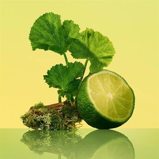 Foto 4 | Foto 4 | Perfume Calvin Klein Eternity Para Hombre, Eau De Toilette, 50 Ml - Venta Internacional.