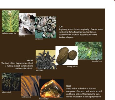 Foto 6 | Foto 6 | Perfume Perry Ellis 360° Para Hombre, 360°, Rojo, 360°, Muy Azul, 360°, Negro - Venta Internacional.