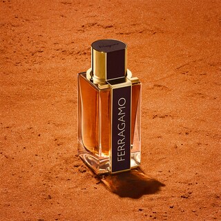 Foto 4 | Foto 4 | Perfume Ferragamo Spicy Leather Eau De Parfum Para Hombre, 100 Ml - Venta Internacional.