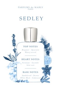 Foto 3 | Foto 3 | Perfume Parfums De Marly Sedley Eau De Parfum 125 Ml Para Hombre - Venta Internacional.
