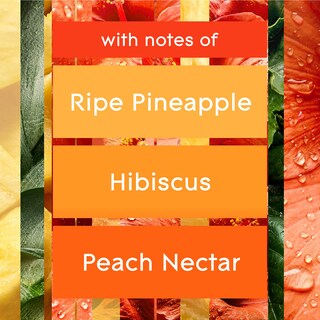 Foto 5 | Foto 5 | Recambio Para Ambientador Glade Plugins Hawaiian Breeze 200 Ml X 10 - Venta Internacional.