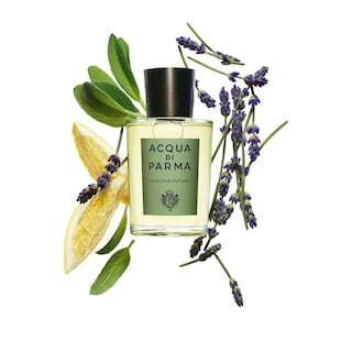 Foto 3 | Foto 3 | Loción Acqua di Parma Colonia Futura Eau de Cologne Spray para Caballero 100 ml