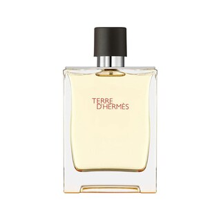 Foto 1 | Foto 1 | Perfume Terre D’hermes Eau De Toilette 200 ml para Hombre
