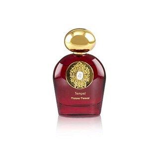 Foto 2 | Foto 2 | Perfume Tiziana Terenzi Tempel Eau de Parfum 100 ml Unisex - Venta Internacional