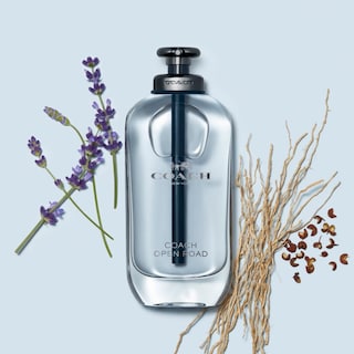 Foto 3 | Foto 3 | Perfume Coach Open Road Edt en Spray para Mujer 60 ml - Venta Internacional