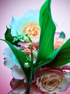 Foto 5 | Foto 5 | Perfume Bvlgari Rose Goldea Blossom Delight 75 - Venta Internacional.