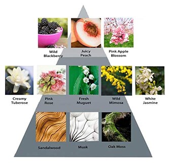 Foto 2 | Foto 2 | Perfume Perry Ellis 360° Purple 240 ml para Mujer - Venta Internacional