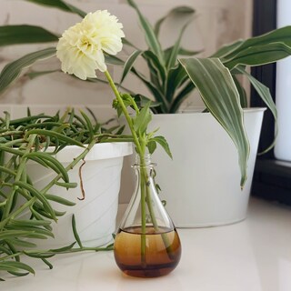 Foto 6 | Foto 6 | Bruma Aromática Essentials Lazy Summer, 60 Ml, Vegana, No Tóxica - Venta Internacional.