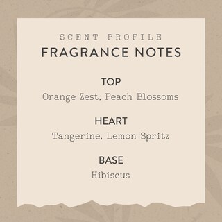Foto 4 | Foto 4 | Fragrance Mist Essentials ¡buenos Días! 60 Ml, Vegano, No Tóxico - Venta Internacional.