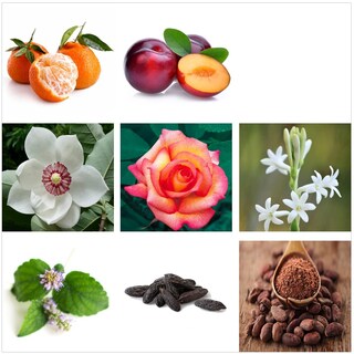 Foto 3 | Foto 3 | Bruma Corporal Rachel Zoe Warrior para Mujer 300 Ml - Venta Internacional